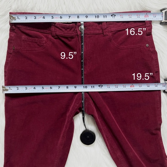 SOLD-Anthropologie Burgundy Wine Micro Cord Skinny Chino Pants - Picture 9 of 11